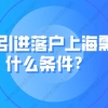 科普！人才引进落户上海需要什么条件？附常见问题解答！