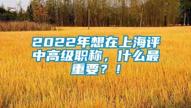 2022年想在上海评中高级职称，什么最重要？！